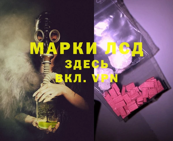 ПСИЛОЦИБИНОВЫЕ ГРИБЫ Няндома