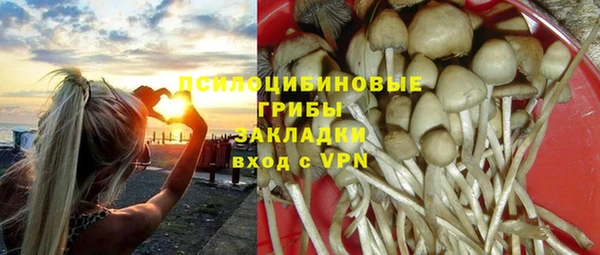 соль курить ск Нязепетровск