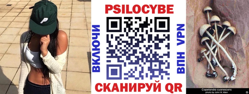 Галлюциногенные грибы Cubensis  Сосновоборск 